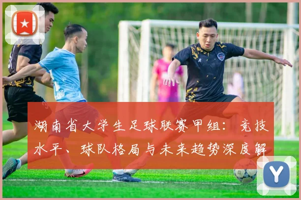 湖南省大学生足球联赛甲组:竞技水平、球队格局与未来趋势深度解析