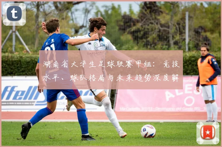 湖南省大学生足球联赛甲组:竞技水平、球队格局与未来趋势深度解析